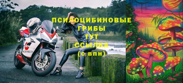 mdpv Богородск