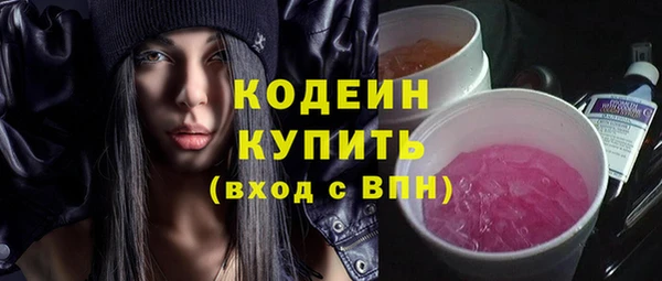 ГАЛЛЮЦИНОГЕННЫЕ ГРИБЫ Богданович