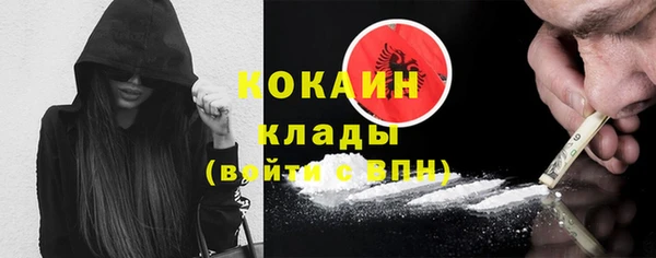 ГАЛЛЮЦИНОГЕННЫЕ ГРИБЫ Богданович