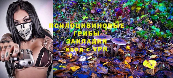 mdpv Богородск