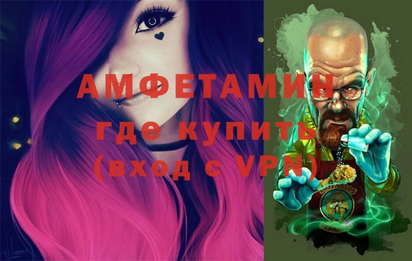 ГАЛЛЮЦИНОГЕННЫЕ ГРИБЫ Богданович