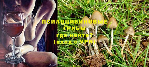 ГАЛЛЮЦИНОГЕННЫЕ ГРИБЫ Богданович
