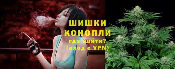 ГАЛЛЮЦИНОГЕННЫЕ ГРИБЫ Богданович