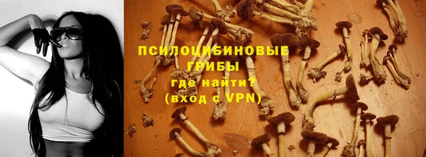 mdpv Богородск