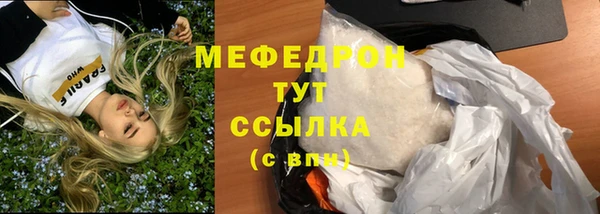ГАЛЛЮЦИНОГЕННЫЕ ГРИБЫ Богданович