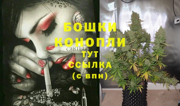 ГАЛЛЮЦИНОГЕННЫЕ ГРИБЫ Богданович