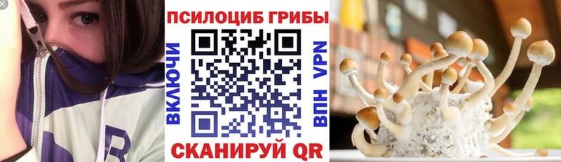 Псилоцибиновые грибы MAGIC MUSHROOMS  даркнет Telegram  Вельск 